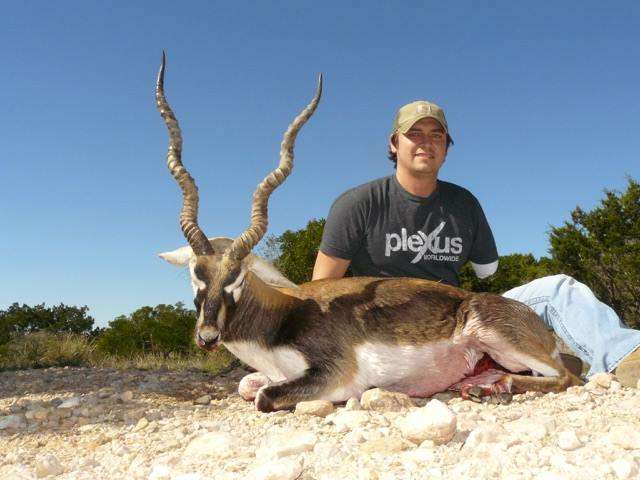 Blackbuck Blackbuck